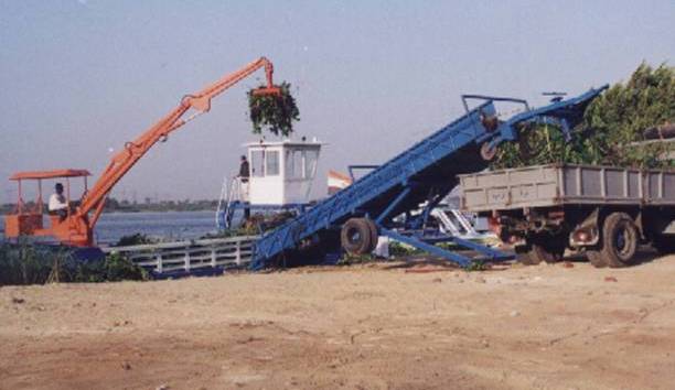 Feeding Unloading Conveyor With Weeds